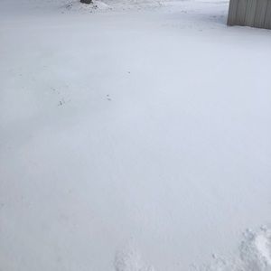 Meet your Posher, Betzy